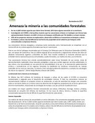 boletín minería y comunidades forestales ok