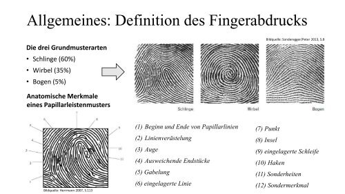 Fingerabdruck Alexander Viebig 1