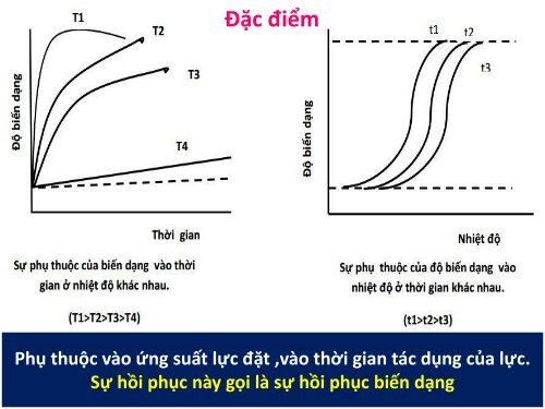 CÁC TRẠNG THÁI VẬT LÝ CỦA POLYMER