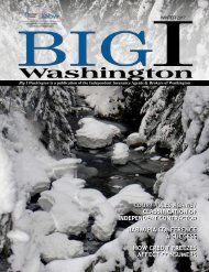 Big I Washington Winter 2017