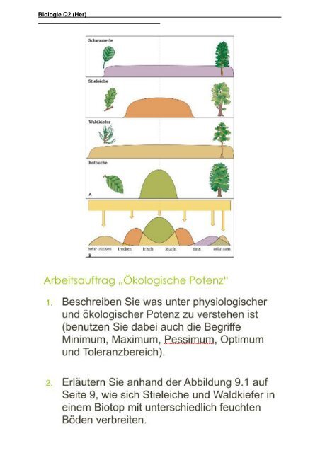 Ökologische Herausforderungen von Staudämmen – und wie man sie löst - Featured Image