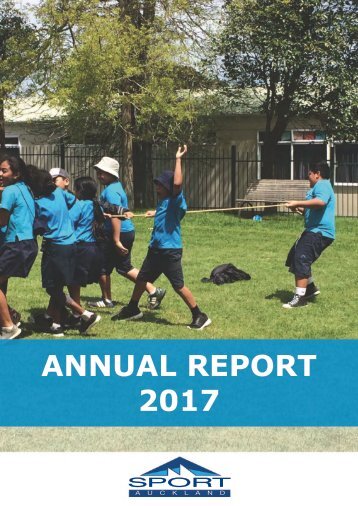Annual Report 2017 Summary