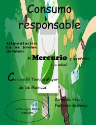 Revista