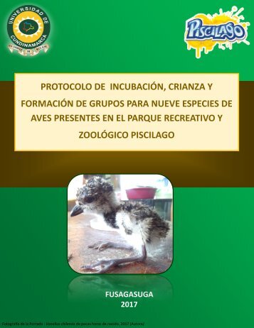 Protocolo de Incubación, crianza y formación de grupos para aves