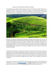 Experience The Beautiful Ooty And Admire Its Beauty