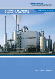 biomasse-kraftwerk baruth, deutschland - Standardkessel Baumgarte