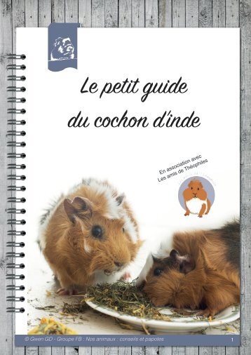 Le petit guide du cochon d'inde 