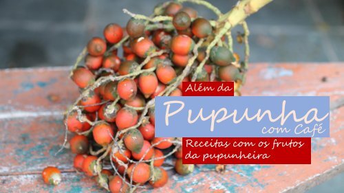 Receitas com fruto da pupunheira