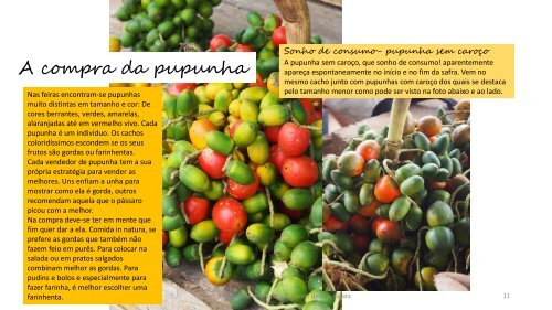 Receitas com fruto da pupunheira