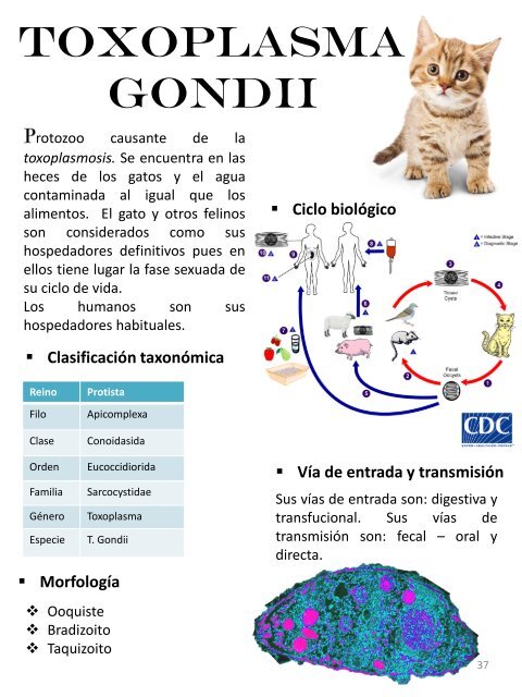 MICROORGANISMOS ASESINOS