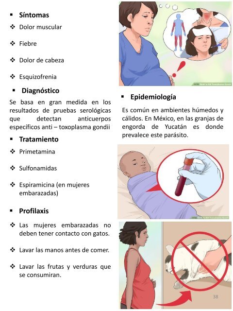 MICROORGANISMOS ASESINOS