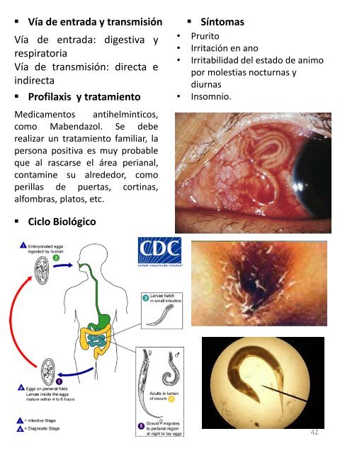 MICROORGANISMOS ASESINOS