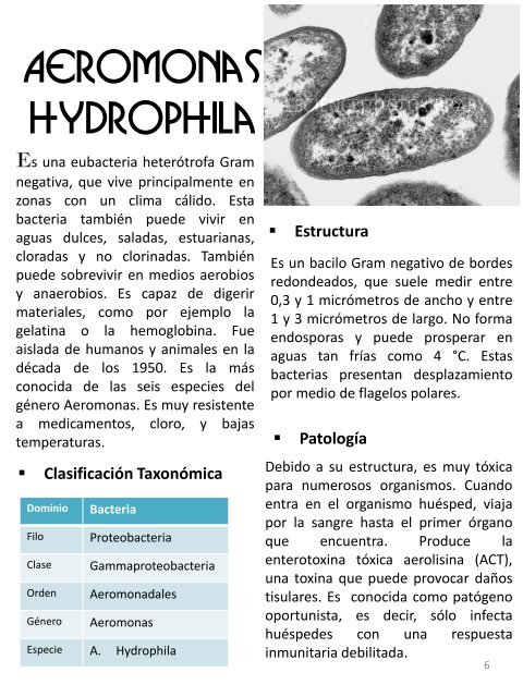 MICROORGANISMOS ASESINOS