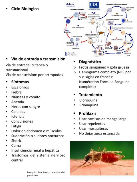 MICROORGANISMOS ASESINOS