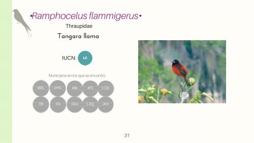 Catalogo fauna casiaves_Ok 2