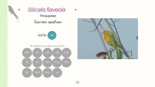 Catalogo fauna casiaves_Ok 2