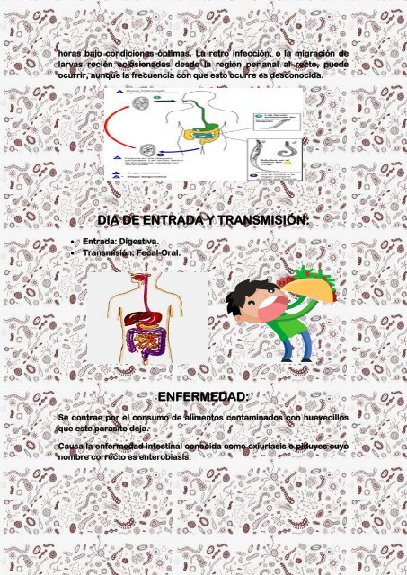 MICROBIOLOGIA-3