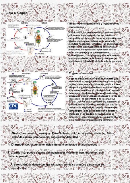 MICROBIOLOGIA-3