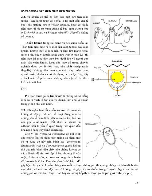 Vi Sinh Lâm Sàng (Tái bản lần thứ 6) - [Authors] Mark Gladwin, William  Trattler, C. Scott  Mahan - [Nhóm dịch] Nhóm Netter