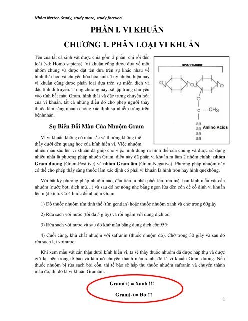 Vi Sinh Lâm Sàng (Tái bản lần thứ 6) - [Authors] Mark Gladwin, William  Trattler, C. Scott  Mahan - [Nhóm dịch] Nhóm Netter