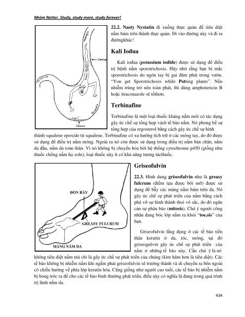 Vi Sinh Lâm Sàng (Tái bản lần thứ 6) - [Authors] Mark Gladwin, William  Trattler, C. Scott  Mahan - [Nhóm dịch] Nhóm Netter