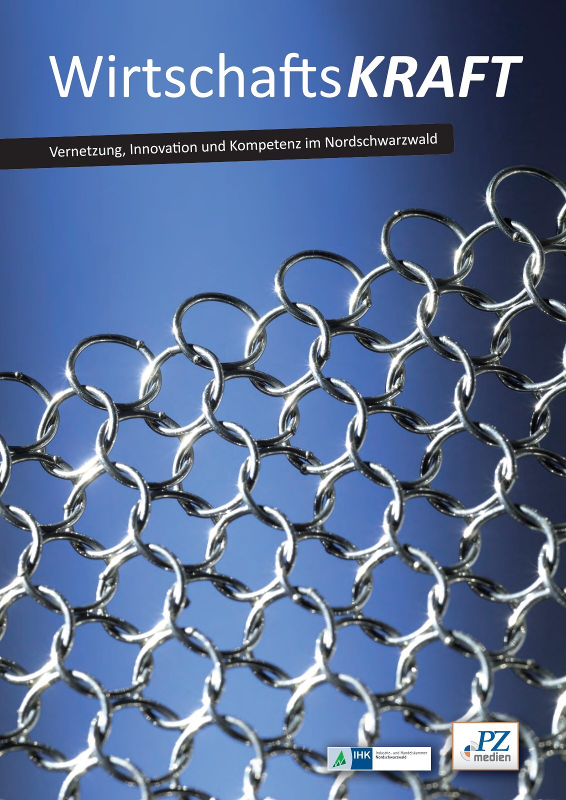 WirtschaftsKRAFT 2011