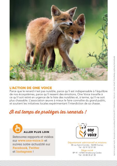 La paix pour les renards !