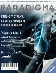 Revista Paradigma