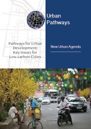 UP_Pathways_for_urban_development