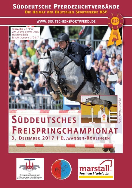 Süddeutsches Freispringchampionat am 3. Dezember 2017 