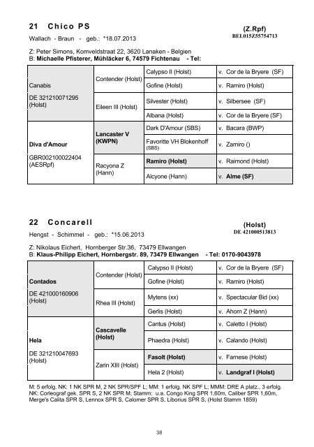 Süddeutsches Freispringchampionat am 3. Dezember 2017 