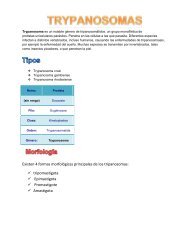 Trypanosoma