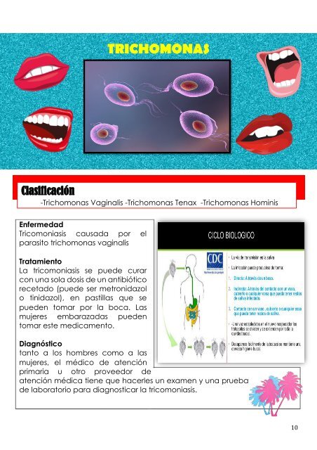 PROYECTO ATLAS 