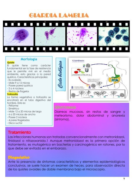 PROYECTO ATLAS 