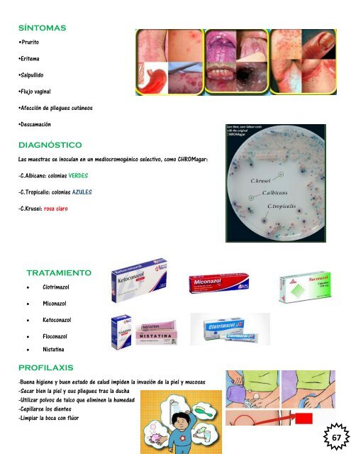 ATLAS proyecto ABP