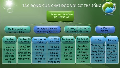 ĐỘC HỌC MÔI TRƯỜNG VÀ SỨC KHỎE CỘNG ĐỒNG