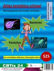 Microorganismos que invaden al hombre.docx