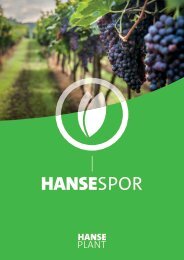 HANSESPOR | Hanseplant