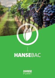 HANSEBAC | Hanseplant