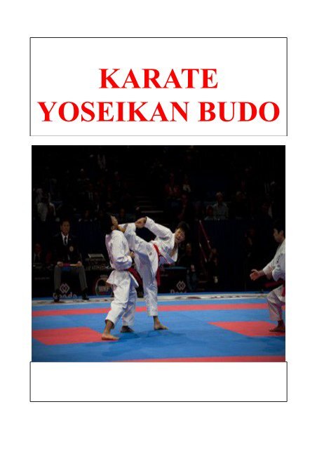 catalogue sabretooth karaté + yoseikan budo 2017-2018