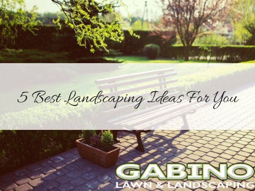 5 Best Landscaping Ideas For You