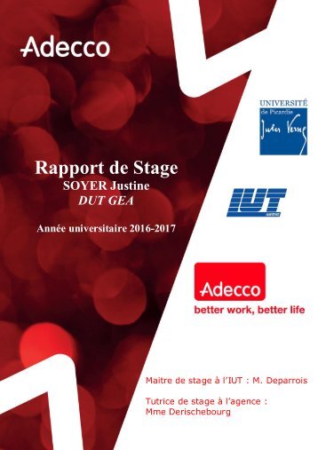 Rapport SOYER Justine