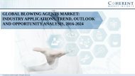 Recent Research Explores the Blowing Agents Market 2016-2024