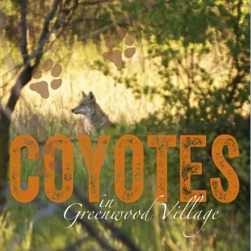 CoyoteBrochPages