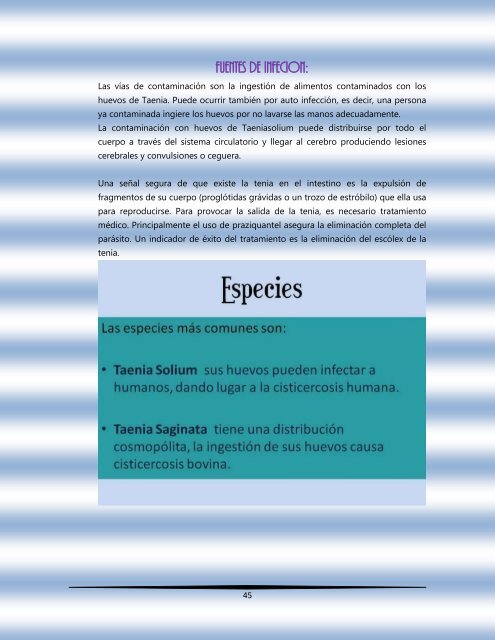 Principales microorganismos que invaden al hombre