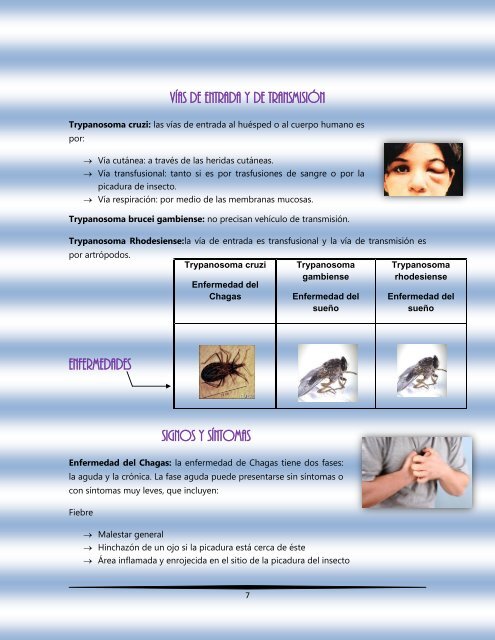 Principales microorganismos que invaden al hombre