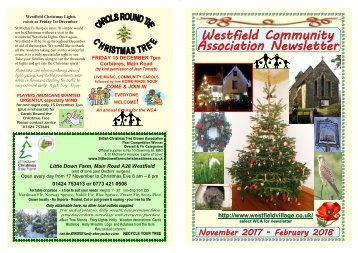 WCA 162 Newsletter November 2017