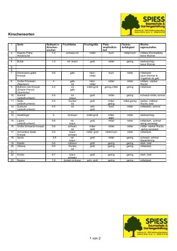 Kirschensorten - Spiess Baumschule & Gartengestaltung