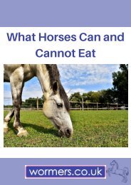 What Horses Can and Can't Eat 
