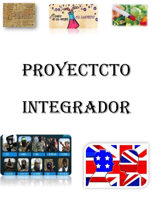 PROYECTO INTEGRADOR..